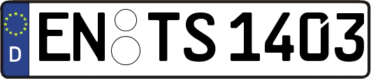 EN-TS1403