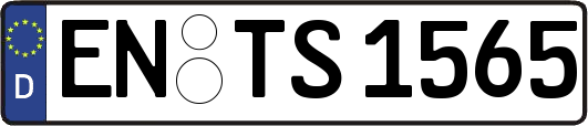 EN-TS1565