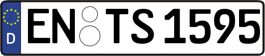 EN-TS1595
