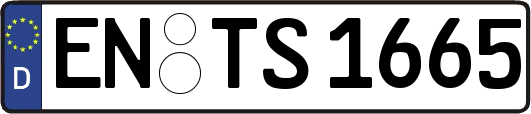 EN-TS1665