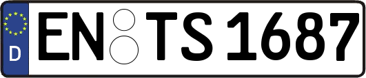 EN-TS1687