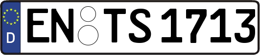 EN-TS1713