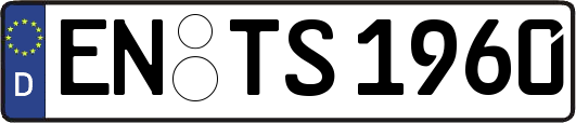 EN-TS1960
