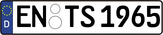 EN-TS1965