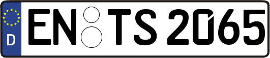 EN-TS2065