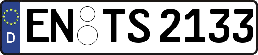 EN-TS2133
