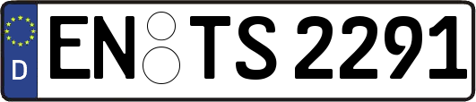 EN-TS2291