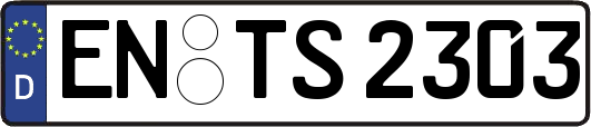 EN-TS2303