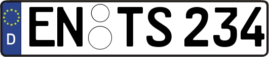 EN-TS234