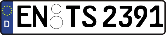 EN-TS2391