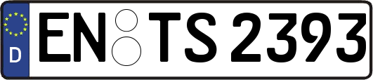 EN-TS2393