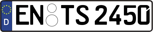 EN-TS2450