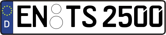 EN-TS2500