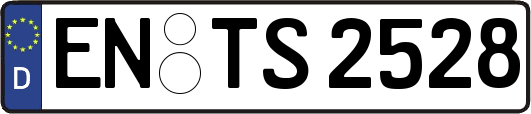 EN-TS2528