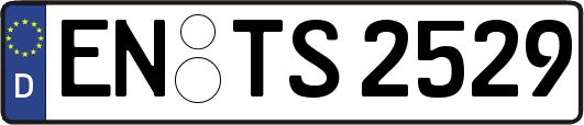 EN-TS2529
