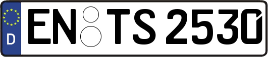 EN-TS2530