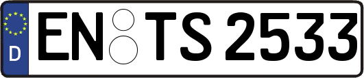 EN-TS2533