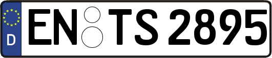 EN-TS2895