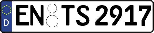 EN-TS2917