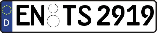 EN-TS2919