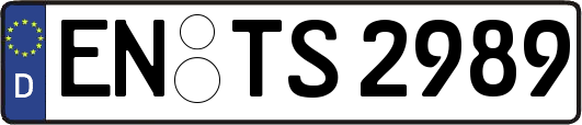 EN-TS2989