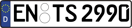 EN-TS2990