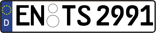 EN-TS2991
