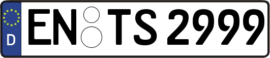 EN-TS2999