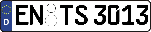 EN-TS3013