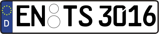 EN-TS3016