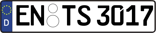 EN-TS3017