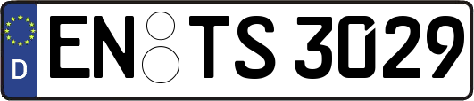 EN-TS3029