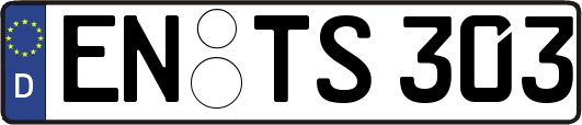 EN-TS303