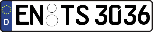 EN-TS3036