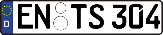 EN-TS304