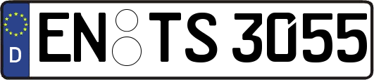 EN-TS3055