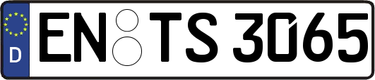 EN-TS3065