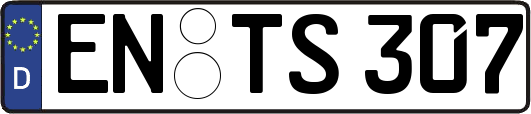 EN-TS307