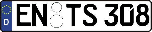 EN-TS308