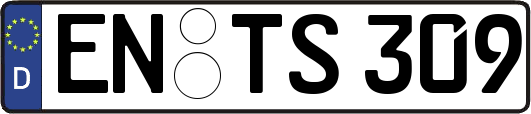 EN-TS309