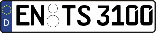 EN-TS3100