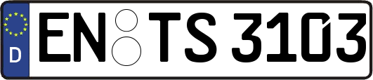EN-TS3103
