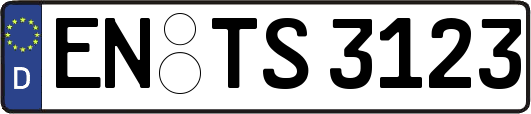 EN-TS3123