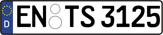 EN-TS3125