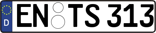 EN-TS313