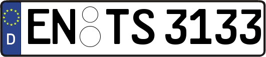 EN-TS3133