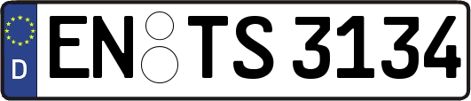 EN-TS3134