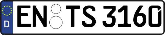 EN-TS3160