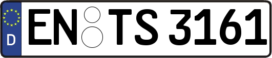 EN-TS3161