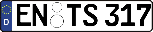 EN-TS317